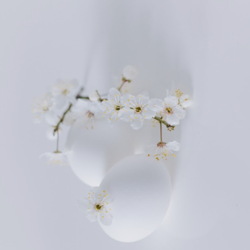 People always celebrate pregnancies and gender reveals. Why aren’t more people talking about abortions or miscarriages? Let’s explore the hidden parts of the fertility journey, and why they matter just as much as the joyful moments.