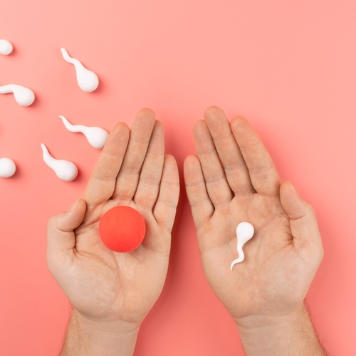 How to Know If the IVF Program Fits You