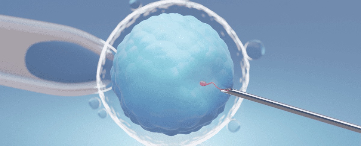 What are the Success Rates of IVF?