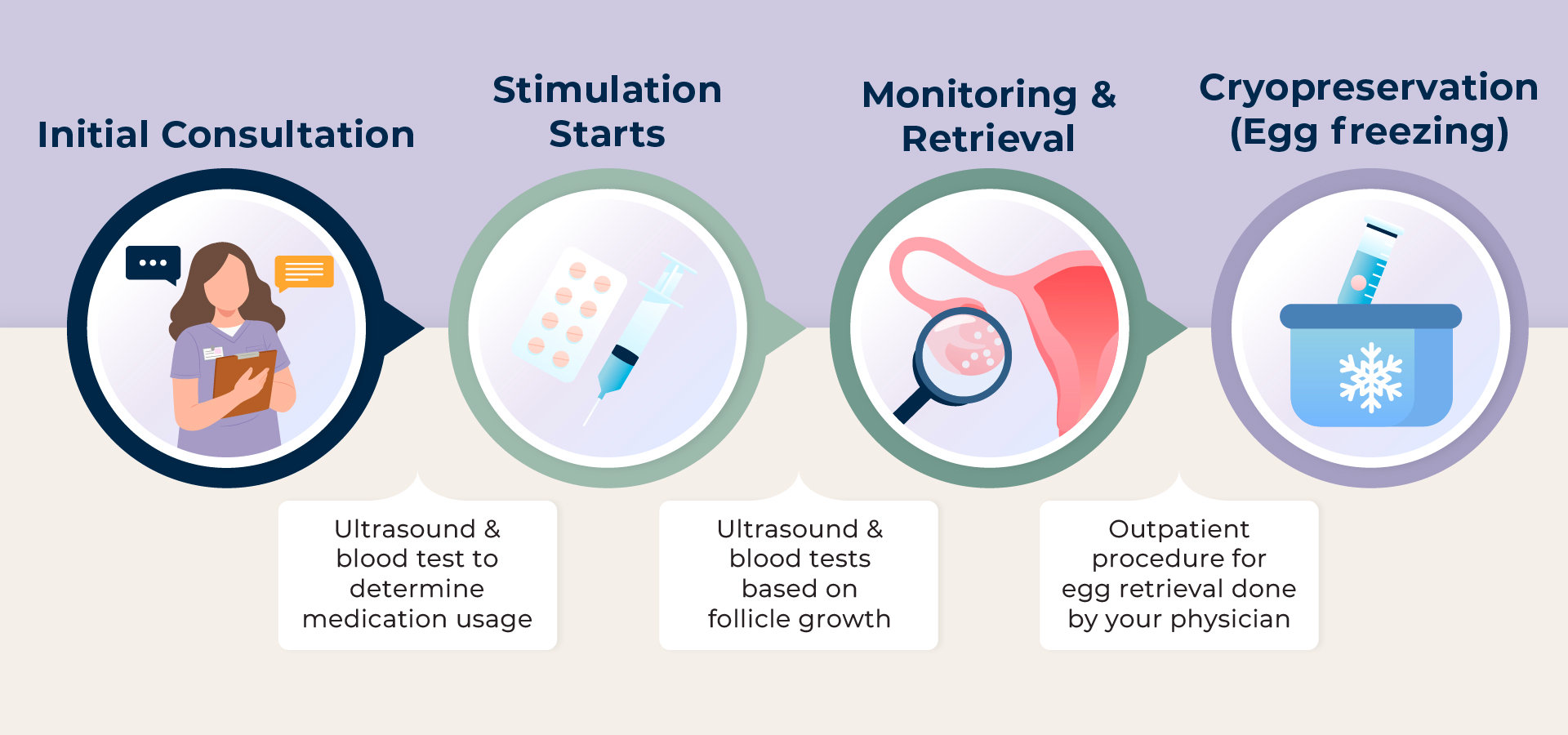 Egg Freezing Timeline