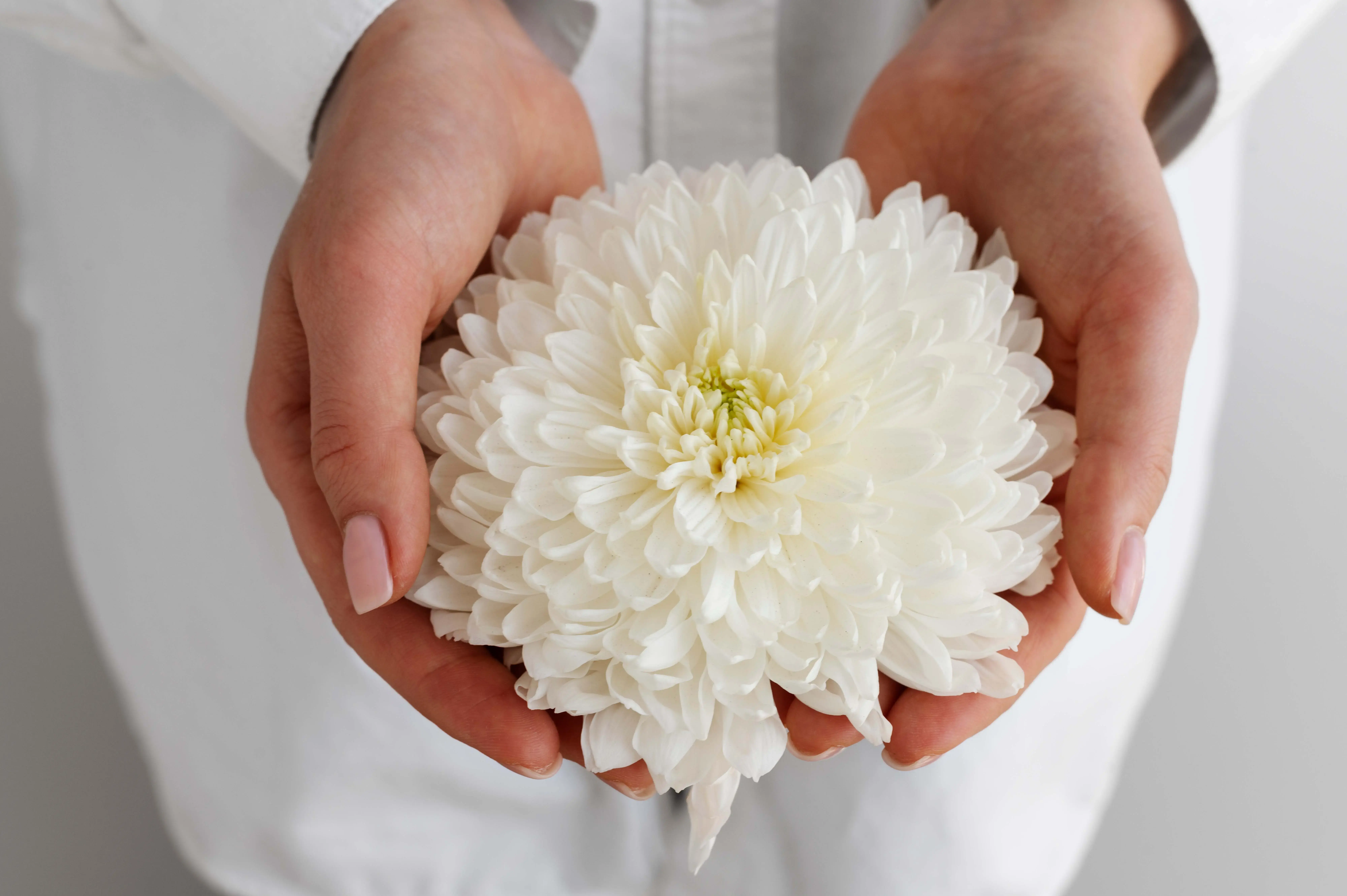 Oncology patients: Navigating Fertility After Cancer: Information, Resources, and Support