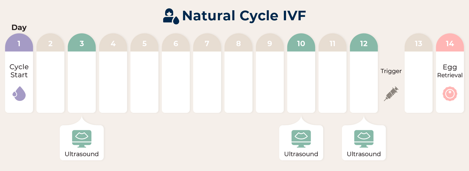 Natural Cycle IVF