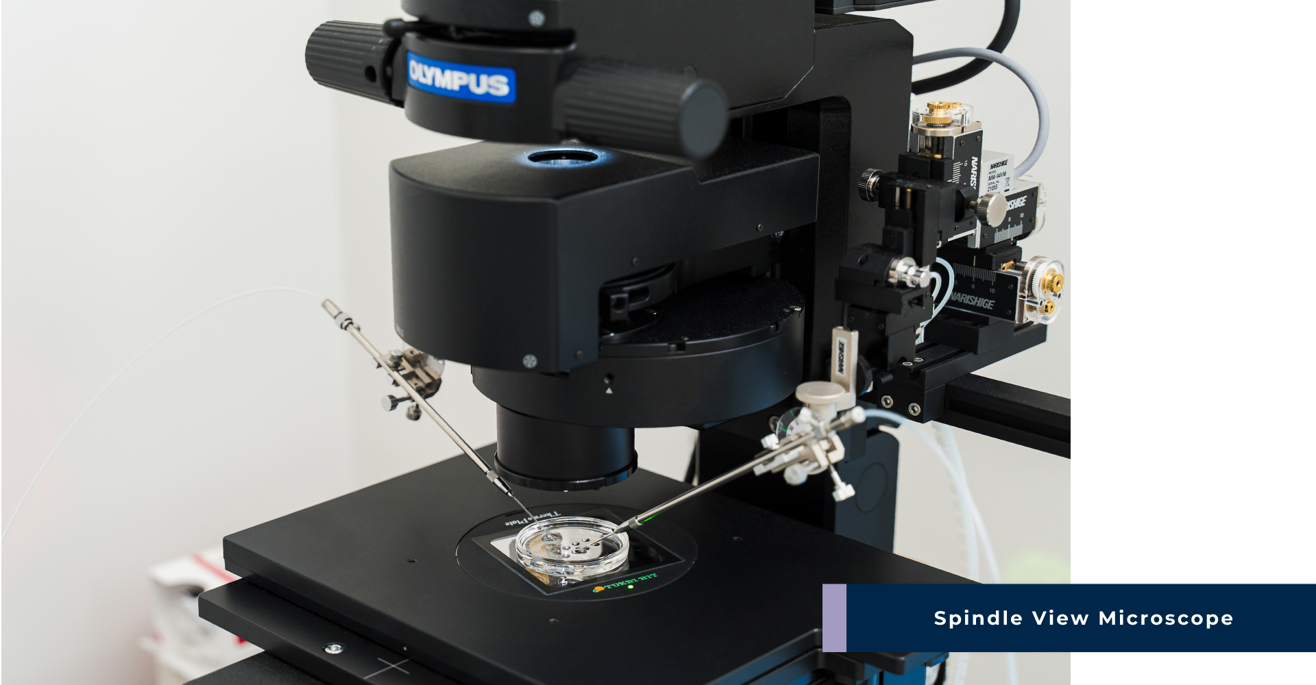 Spindle View Microscope