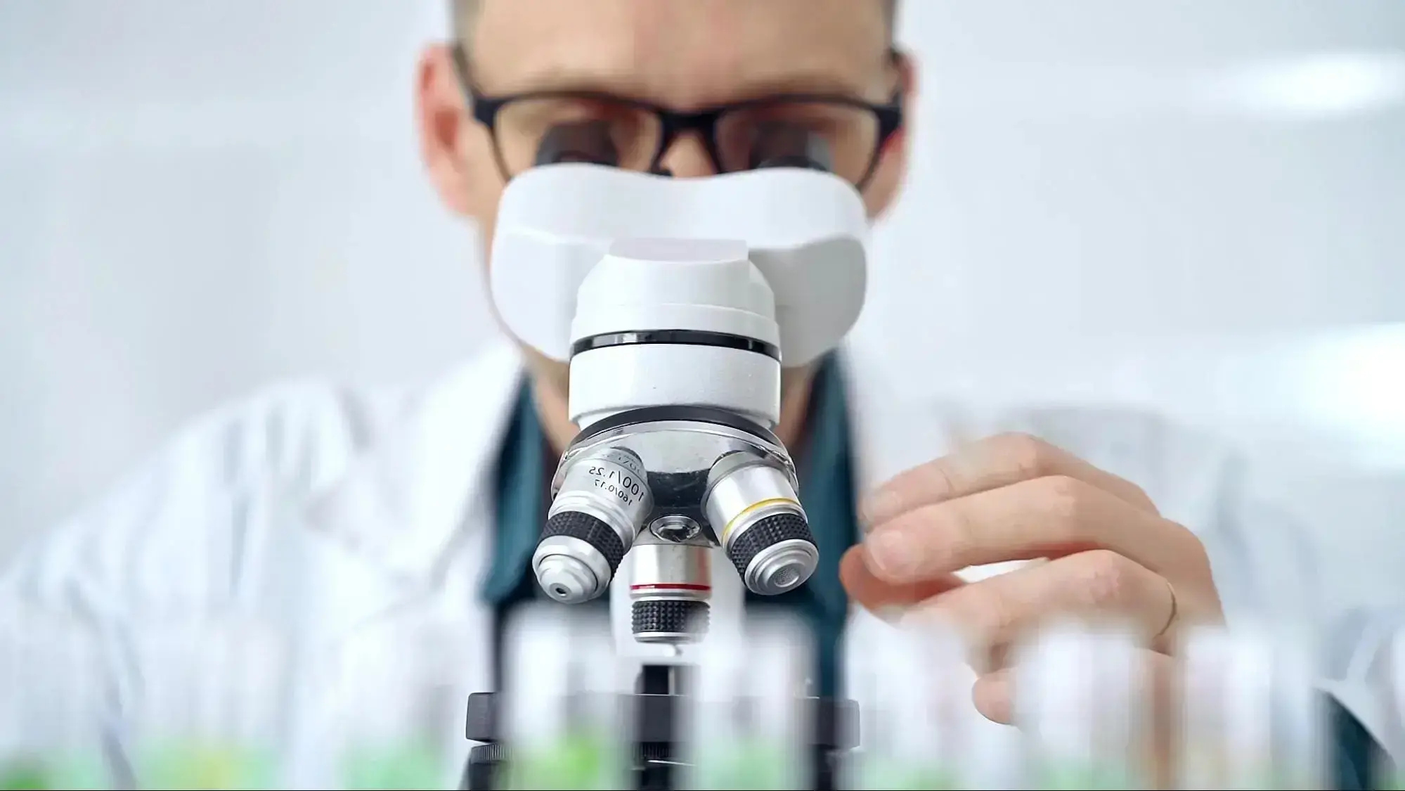 As the embryo reaches the blastocyst phase after 5 to 7 days of development, it may be prepared for transfer or freezing.