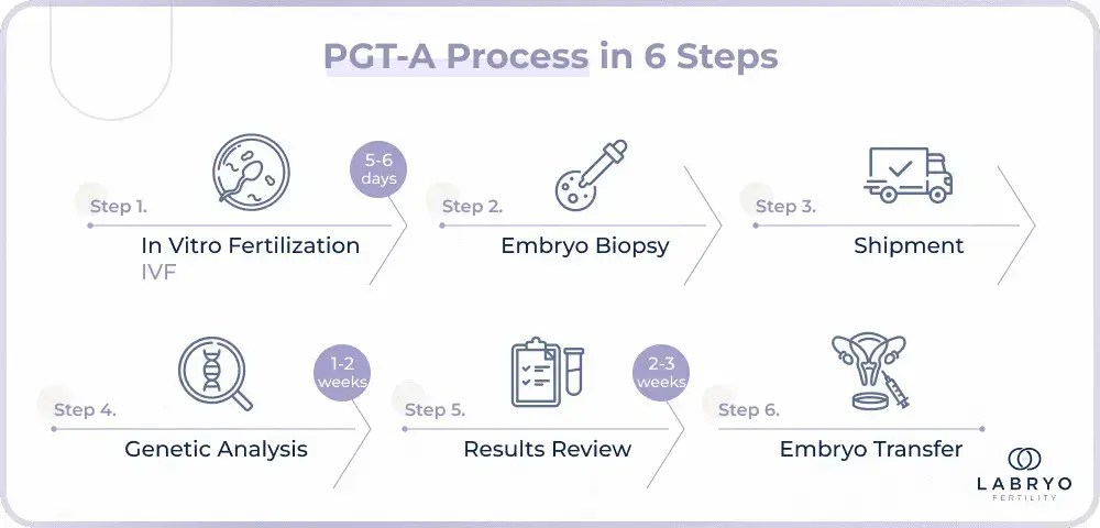 The six steps involved in PGT-A which can take up to 2-6 weeks overall.